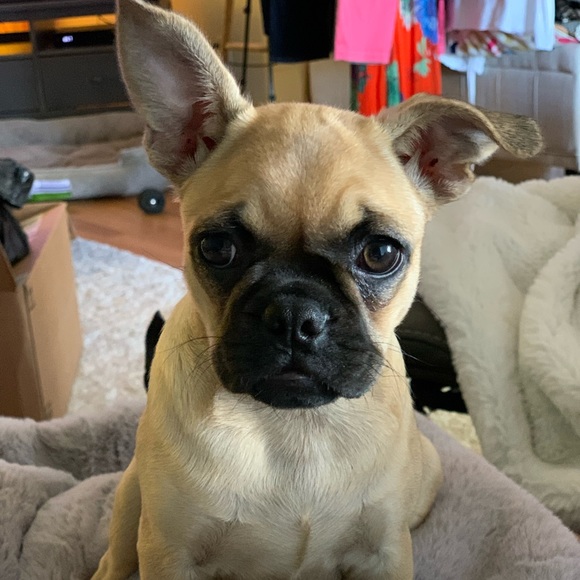 Lisa & Katy, Poshers! Yay!! - Picture 2 of 6